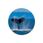 Humpback Whale Rubber Round Coaster (4 pack)