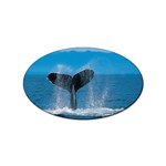 Humpback Whale Sticker (Oval)