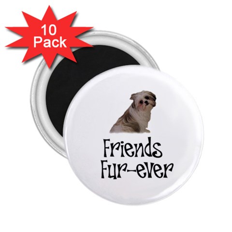 Shih Tzu friends 2.25  Magnet (10 pack) from ArtsNow.com Front