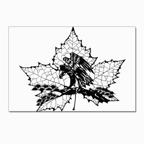 Maple & Eagle Postcard 4 x 6  (Pkg of 10) from ArtsNow.com Front