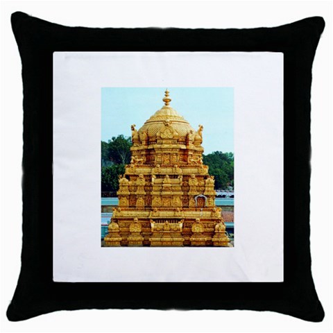 image007 Throw Pillow Case (Black) from ArtsNow.com Front