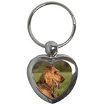 Airedale Terrier Dog Key Chain (Heart)