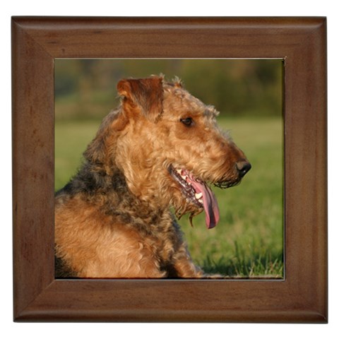 Airedale Terrier Dog Framed Tile from ArtsNow.com Front