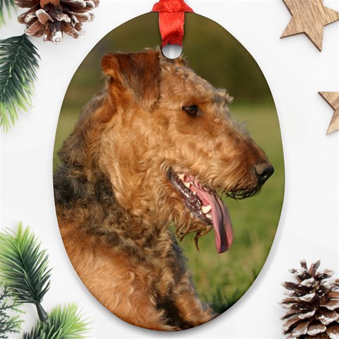 Airedale Terrier Dog Ornament (Oval) from ArtsNow.com Front