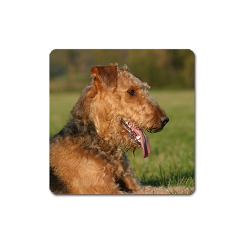 Airedale Terrier Dog Magnet (Square) from ArtsNow.com Front