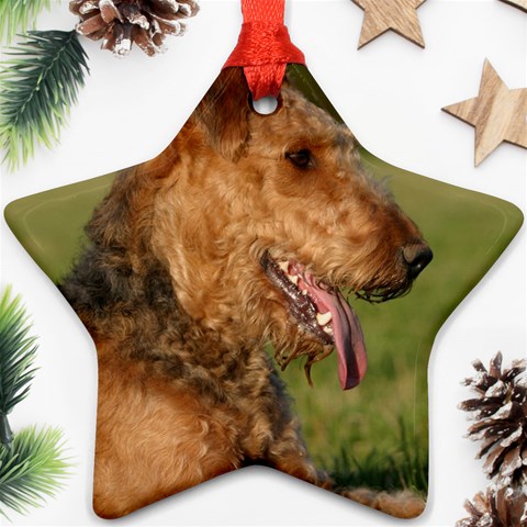 Airedale Terrier Dog Ornament (Star) from ArtsNow.com Front