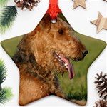 Airedale Terrier Dog Ornament (Star)