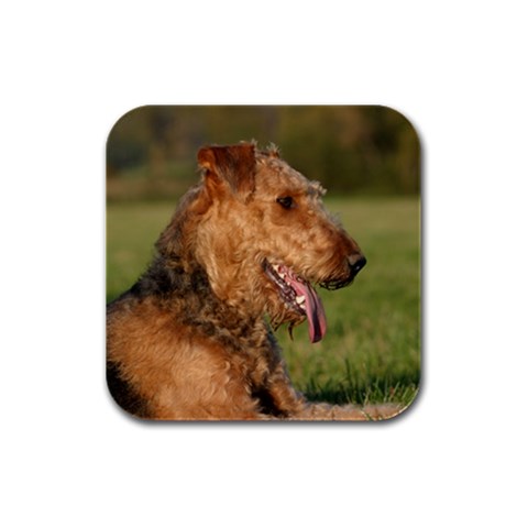 Airedale Terrier Dog Rubber Square Coaster (4 pack) from ArtsNow.com Front