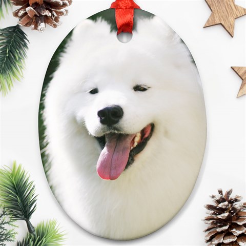 American Eskimo Dog Ornament (Oval) from ArtsNow.com Front