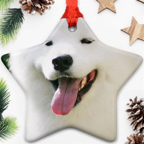 American Eskimo Dog Ornament (Star) from ArtsNow.com Front