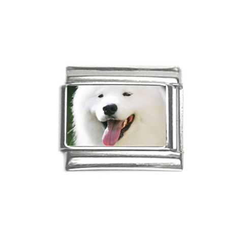 American Eskimo Dog Italian Charm (9mm) from ArtsNow.com Front