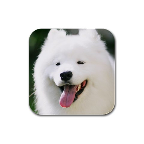 American Eskimo Dog Rubber Square Coaster (4 pack) from ArtsNow.com Front