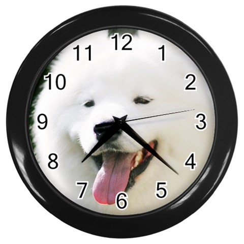 American Eskimo Dog Wall Clock (Black) from ArtsNow.com Front