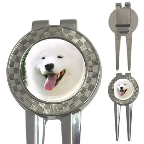 American Eskimo Dog 3 Front