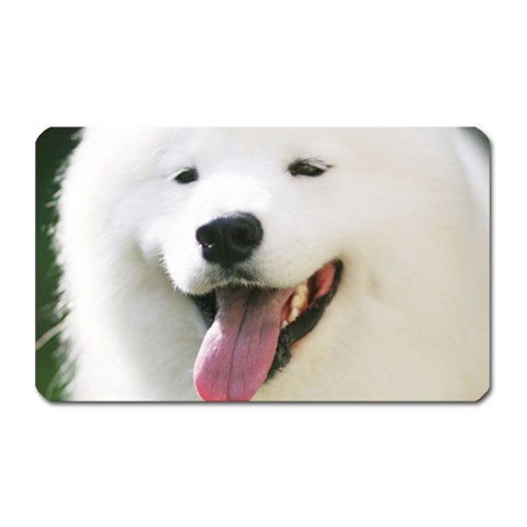 American Eskimo Dog Magnet (Rectangular) from ArtsNow.com Front