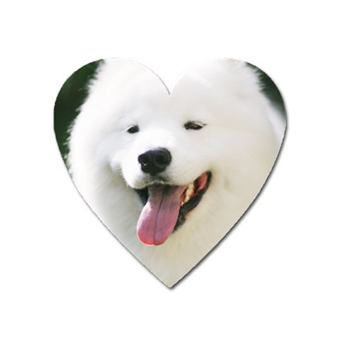 American Eskimo Dog Magnet (Heart) from ArtsNow.com Front