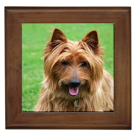 Australian Terrier Dog Framed Tile from ArtsNow.com Front