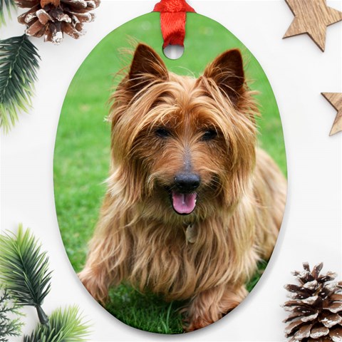 Australian Terrier Dog Ornament (Oval) from ArtsNow.com Front