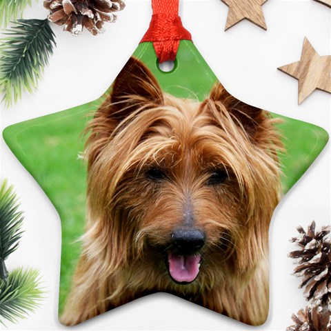 Australian Terrier Dog Ornament (Star) from ArtsNow.com Front