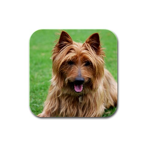 Australian Terrier Dog Rubber Square Coaster (4 pack) from ArtsNow.com Front