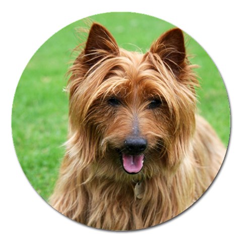 Australian Terrier Dog Magnet 5  (Round) from ArtsNow.com Front