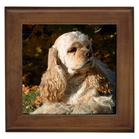 Cocker Spaniel Dog Framed Tile from ArtsNow.com Front