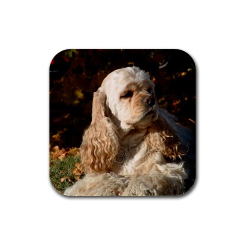 Cocker Spaniel Dog Rubber Square Coaster (4 pack) from ArtsNow.com Front