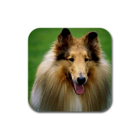 Collie Dog Rubber Square Coaster (4 pack) from ArtsNow.com Front