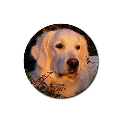 Golden Retriever Dog Rubber Round Coaster (4 pack) from ArtsNow.com Front