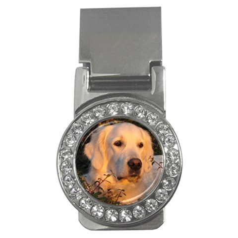 Golden Retriever Dog Money Clip (CZ) from ArtsNow.com Front