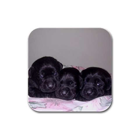 Labrador Retriever Dog Rubber Square Coaster (4 pack) from ArtsNow.com Front