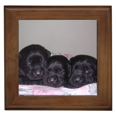 Labrador Retriever Dog Framed Tile from ArtsNow.com Front