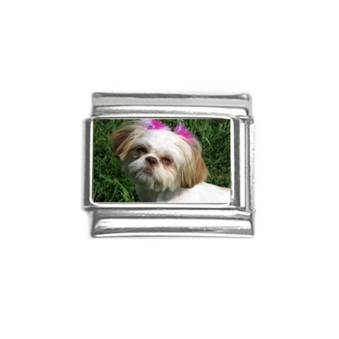 Shih Tzu Dog Italian Charm (9mm) from ArtsNow.com Front