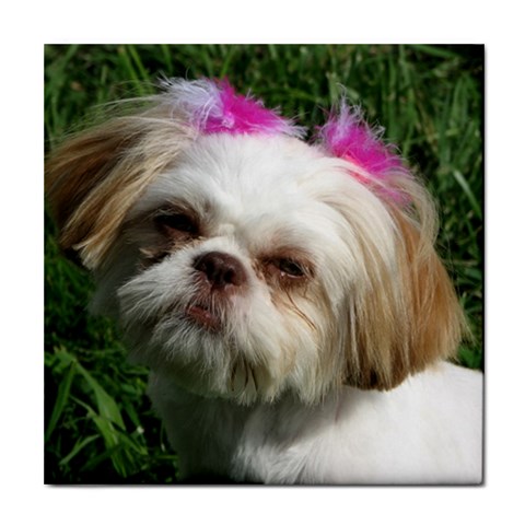 Shih Tzu Dog Tile Coaster from ArtsNow.com Front