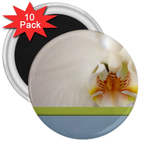 Wedding Orchid 3  Magnet (10 pack) from ArtsNow.com Front