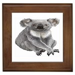 Koala Framed Tile