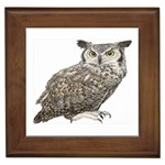 Owl Framed Tile