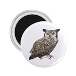 Owl 2.25  Magnet