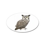 Owl Sticker (Oval)