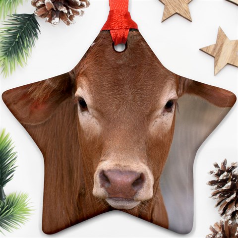 Brown Cow  0003 Ornament (Star) from ArtsNow.com Front