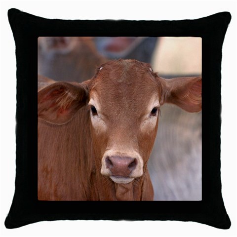 Brown Cow  0003 Throw Pillow Case (Black) from ArtsNow.com Front