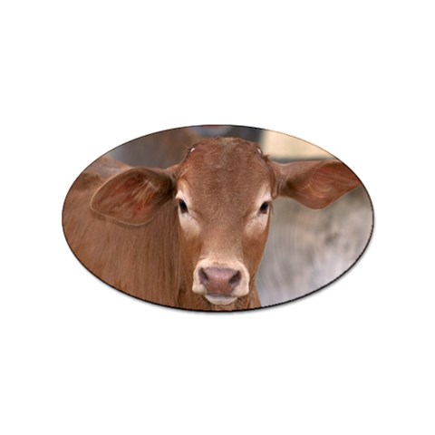 Brown Cow  0003 Sticker (Oval) from ArtsNow.com Front