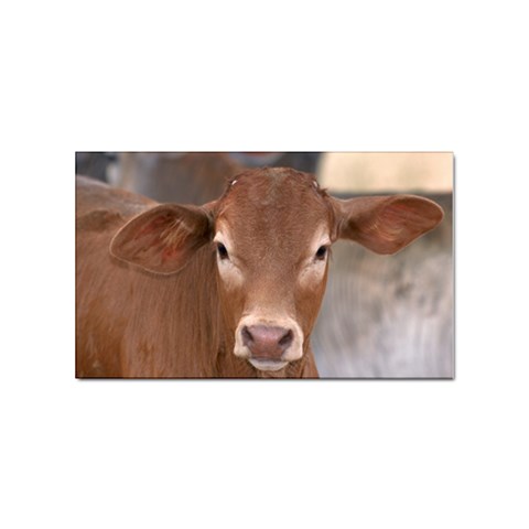 Brown Cow  0003 Sticker (Rectangular) from ArtsNow.com Front