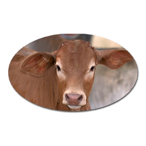 Brown Cow  0003 Magnet (Oval) from ArtsNow.com Front