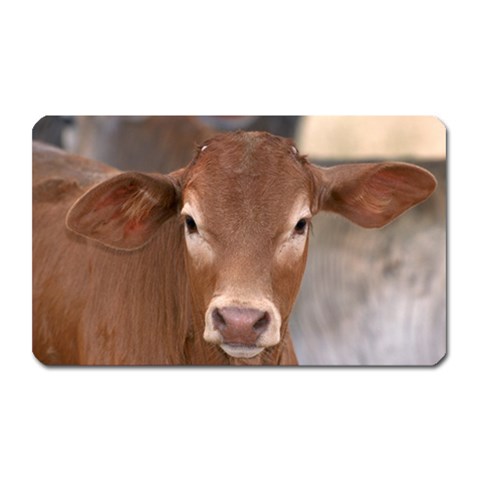 Brown Cow  0003 Magnet (Rectangular) from ArtsNow.com Front