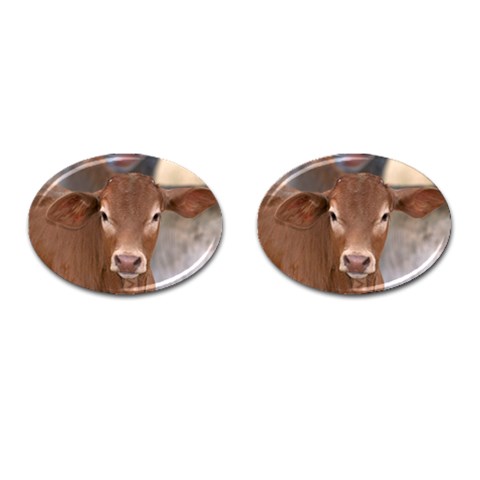 Brown Cow  0003 Cufflinks (Oval) from ArtsNow.com Front(Pair)