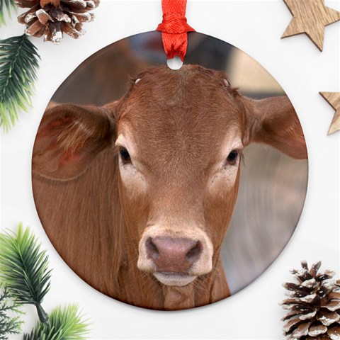 Brown Cow  0003 Round Ornament (Two Sides) from ArtsNow.com Front