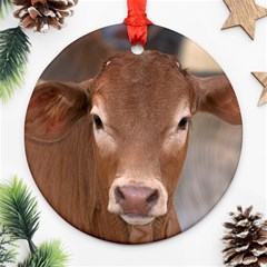 Brown Cow  0003 Round Ornament (Two Sides) from ArtsNow.com Front