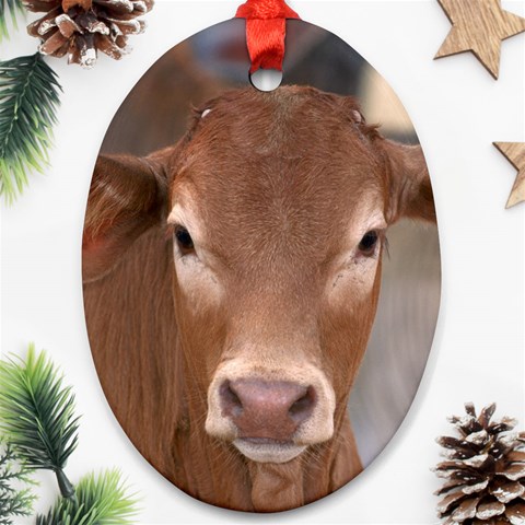 Brown Cow  0003 Oval Ornament (Two Sides) from ArtsNow.com Front