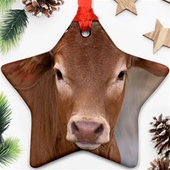 Brown Cow  0003 Star Ornament (Two Sides) from ArtsNow.com Front